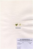 藏品(軸球藻)的圖片